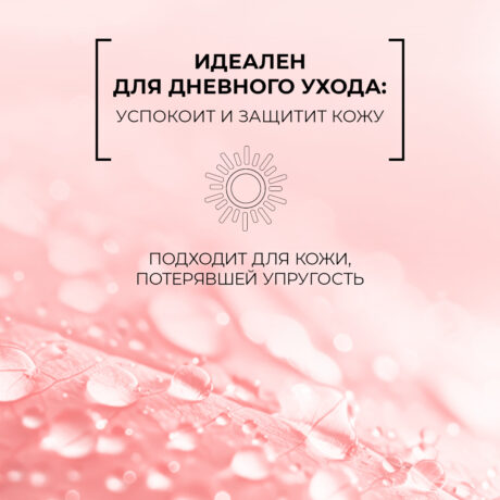 12116 2024_oz5