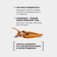 12116 2024_oz6