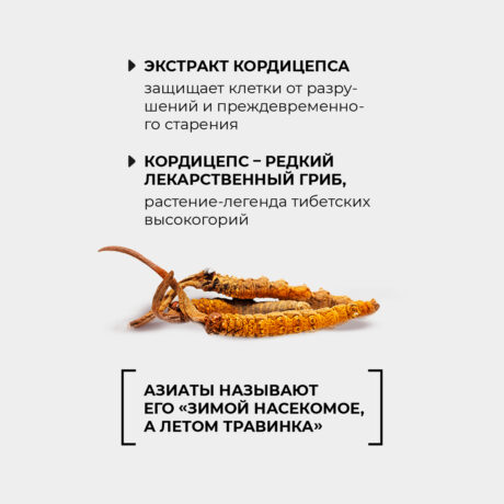 12116 2024_oz6