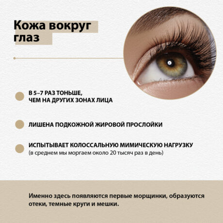 02 (1)