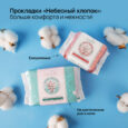 61922_обобщение_сайт